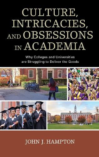 Cover image for Culture, Intricacies, and Obsessions in Academia: Why Colleges and Universities are Struggling to Deliver the Goods