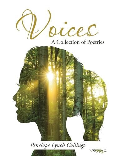 Cover image for Voices