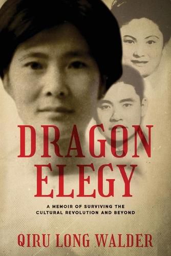 Cover image for Dragon Elegy