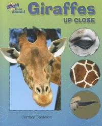 Cover image for Giraffes Up Close