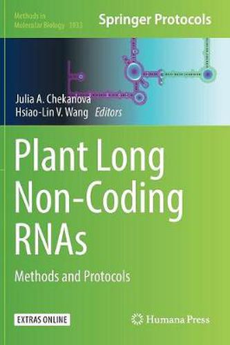 Cover image for Plant Long Non-Coding RNAs: Methods and Protocols