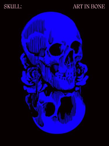 Cover image for Skulls: Art In Bone