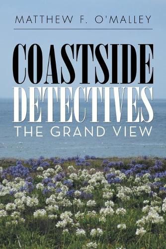 Cover image for Coastside Detectives