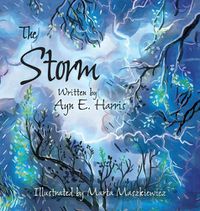 Cover image for The Storm