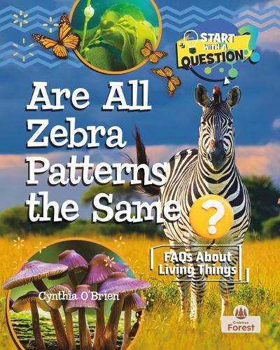 Cover image for Are All Zebra Patterns the Same?