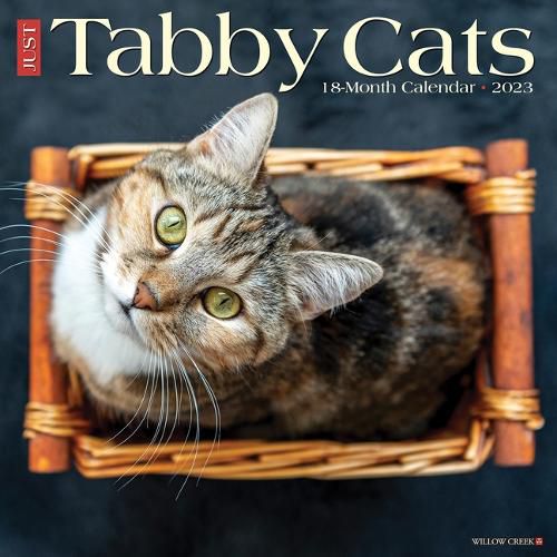 Cover image for Just Tabby Cats 2023 Wall Calendar