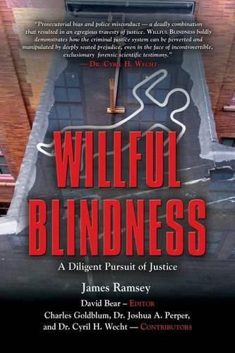 Cover image for Willful Blindness: A Diligent Pursuit of Justice