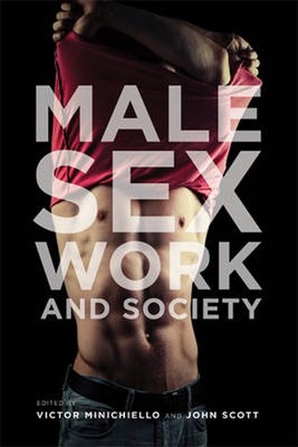 Cover image for Male Sex Work and Society