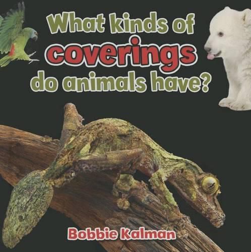 Cover image for What Kinds of Coverings Do Animals Have?