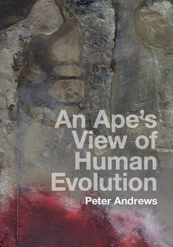 Cover image for An Ape's View of Human Evolution