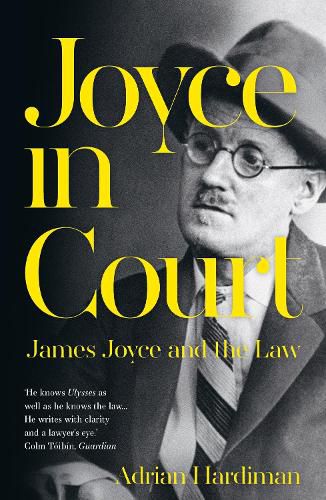 Cover image for Joyce in Court