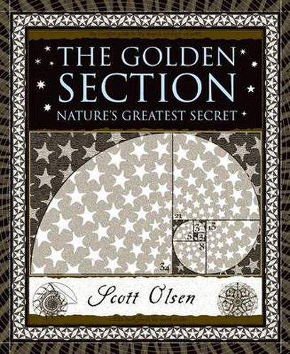 Cover image for The Golden Section: Nature's Greatest Secret