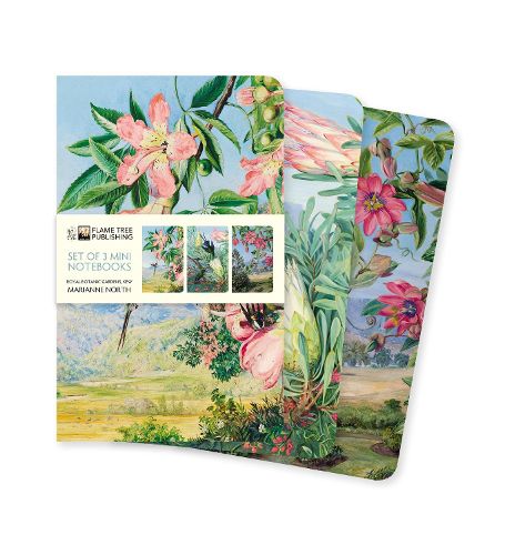 Cover image for Mini Notebook Collection: Kew Gardens&#39; Marianne North (Set Of 3)