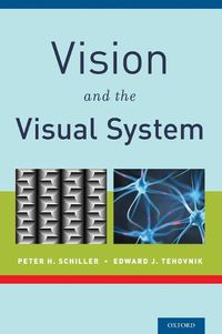 Cover image for Vision and the Visual System