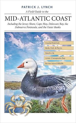 A Field Guide to the Mid-Atlantic Coast: Including the Jersey Shore, Cape May, Delaware Bay, the Delmarva Peninsula, and the Outer Banks