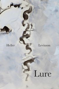 Cover image for Lure