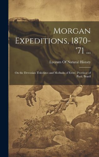 Cover image for Morgan Expeditions, 1870-'71 ...