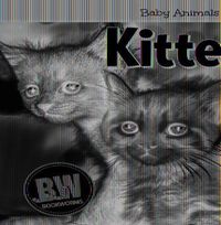 Cover image for Kittens