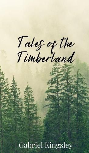 Cover image for Tales of the Timberland