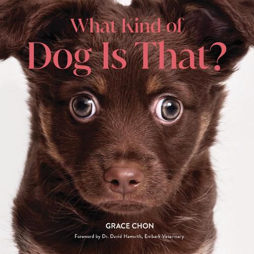 Cover image for What Kind of Dog Is That?