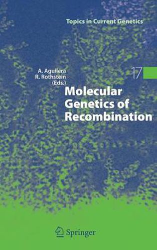 Cover image for Molecular Genetics of Recombination