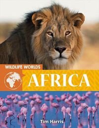 Cover image for Wildlife Worlds: Africa