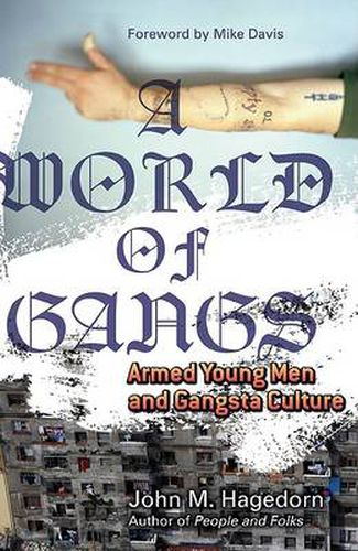 Cover image for A World of Gangs: Armed Young Men and Gangsta Culture