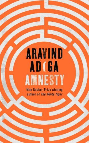 Cover image for Amnesty