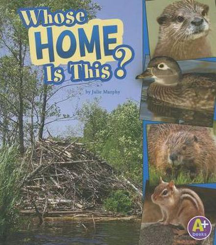 Cover image for Whose Home Is This?