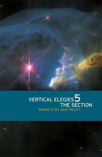 Cover image for Vertical Elegies 5: The Section
