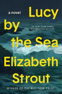 Cover image for Lucy by the Sea: A Novel