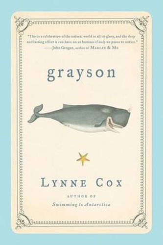 Cover image for Grayson