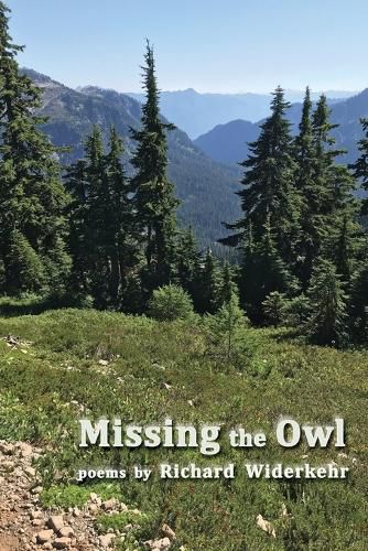 Cover image for Missing the Owl