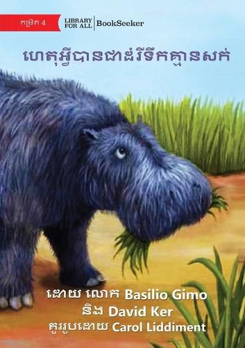 Cover image for Why Hippos Have No Hair - ហេតុអ្វីបានជាដំរីទឹកគ្មានសក់