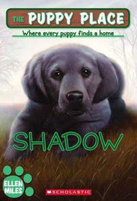 Cover image for The Puppy Place #3: Shadow