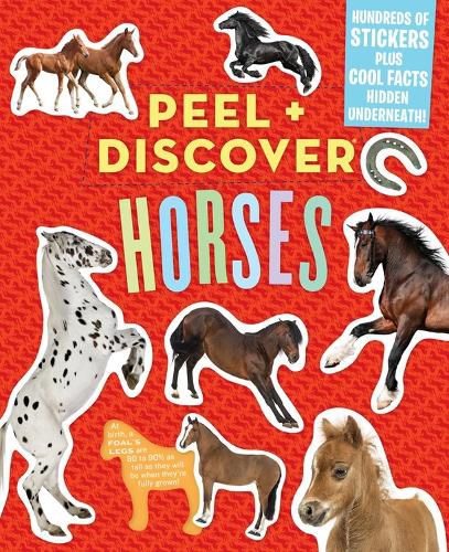 Cover image for Peel + Discover: Horses