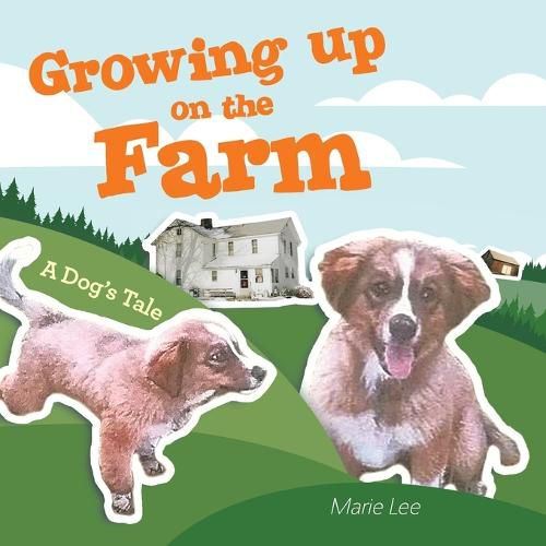 Cover image for Growing up on the Farm