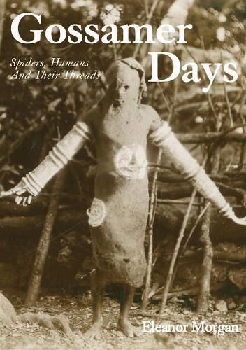 Cover image for Gossamer Days: Spiders, Humans and Their Threads