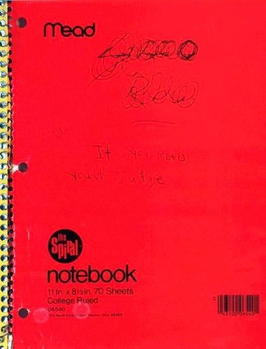 Cover image for Kurt Cobain Journals