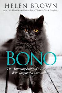 Cover image for Bono: The Amazing Story of a Rescue Cat Who Inspired a Community