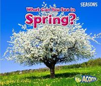 Cover image for What Can You See in Spring? (Seasons)