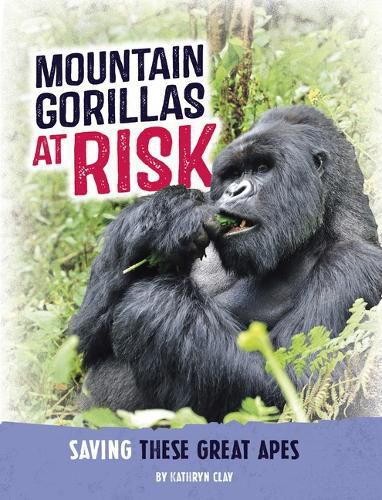 Cover image for Mountain Gorillas at Risk