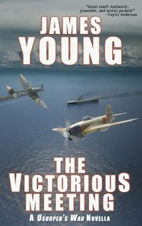 Cover image for The Victorious Meeting