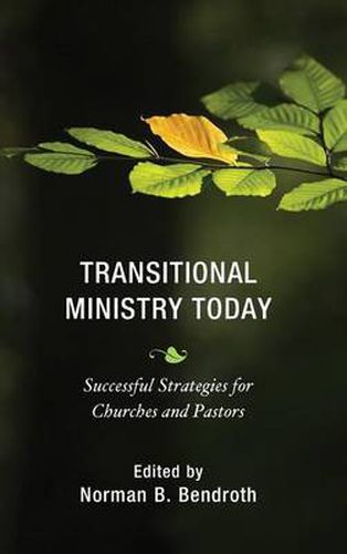 Transitional Ministry Today: Successful Strategies for Churches and Pastors