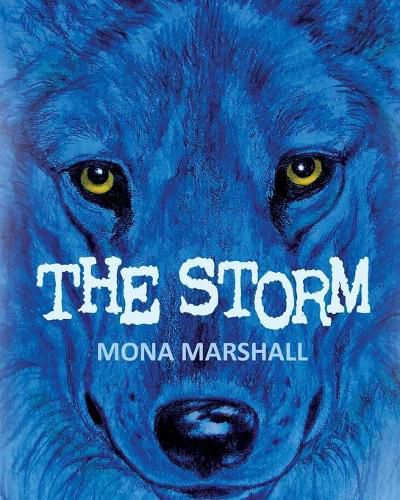 Cover image for The Storm