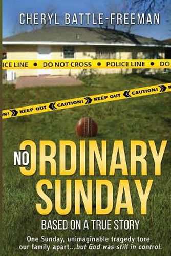 Cover image for No Ordinary Sunday