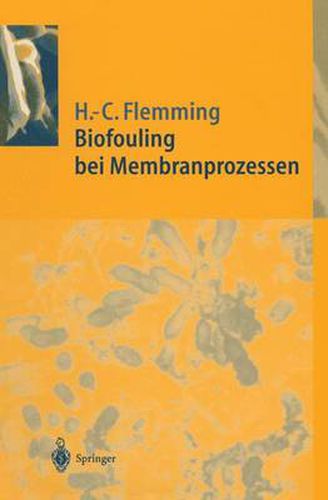 Cover image for Biofouling bei Membranprozessen