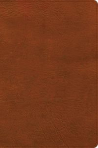 Cover image for CSB Giant Print Single-Column Bible, Burnt Sienna Leathertouch