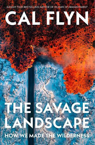 Cover image for The Savage Landscape