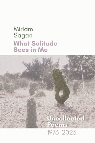 Cover image for What Solitude Sees in Me